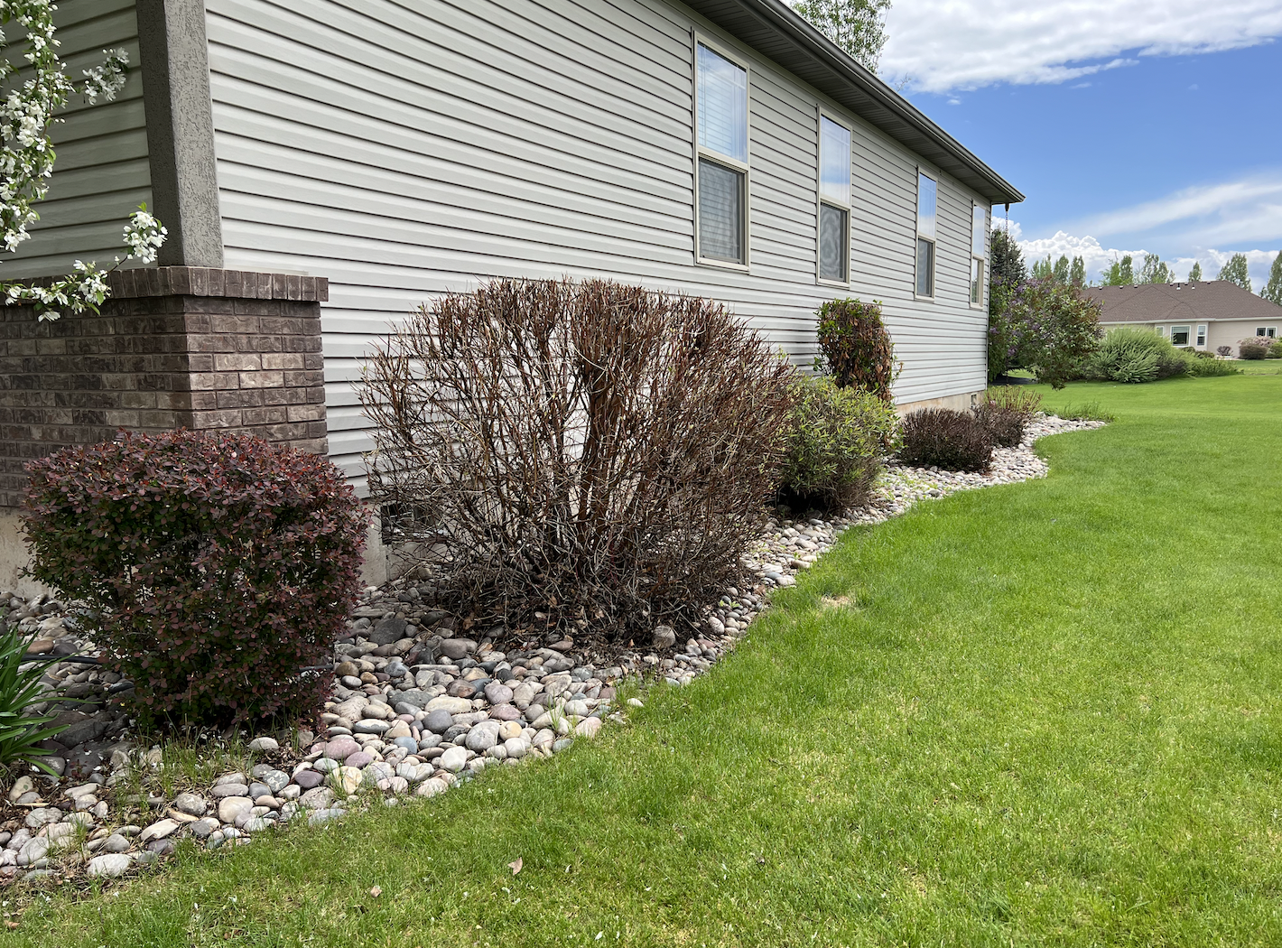 Help your lawn get a jump start today!